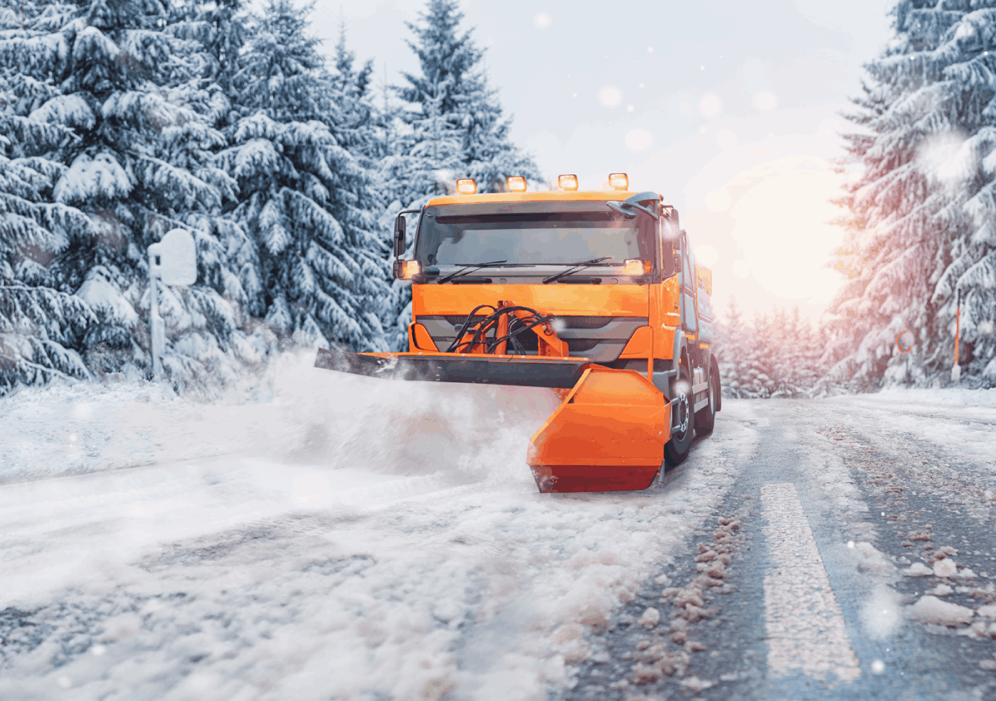 row_1_col_2_img placeholder