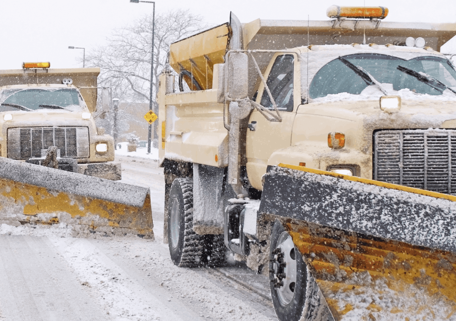 row_1_col_2_img placeholder